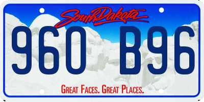 SD license plate 96OB96