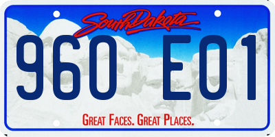 SD license plate 96OE01