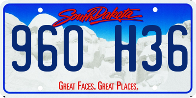 SD license plate 96OH36