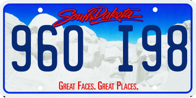 SD license plate 96OI98