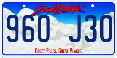 SD license plate 96OJ30