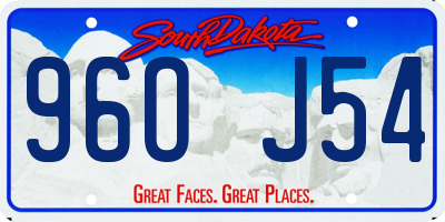SD license plate 96OJ54