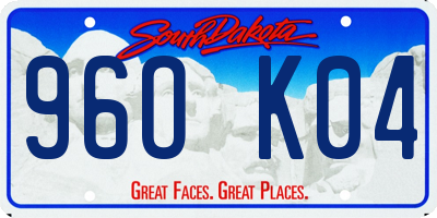 SD license plate 96OK04