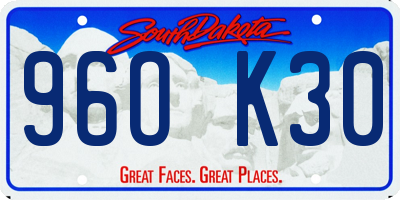 SD license plate 96OK30