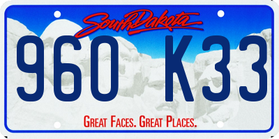 SD license plate 96OK33