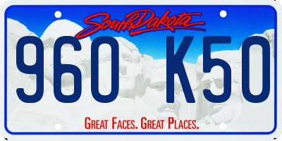 SD license plate 96OK50