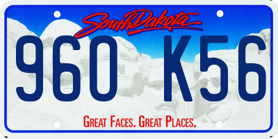 SD license plate 96OK56