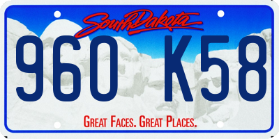 SD license plate 96OK58