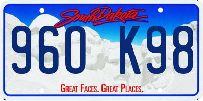 SD license plate 96OK98