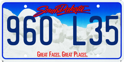 SD license plate 96OL35