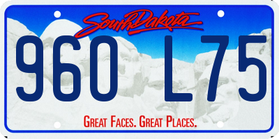 SD license plate 96OL75
