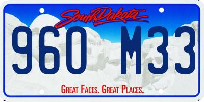 SD license plate 96OM33