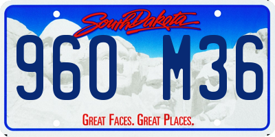 SD license plate 96OM36