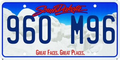 SD license plate 96OM96