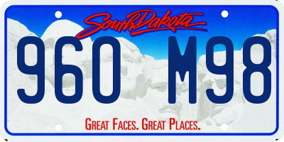 SD license plate 96OM98