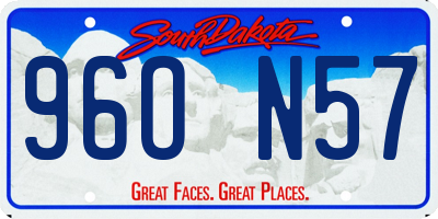 SD license plate 96ON57