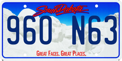 SD license plate 96ON63