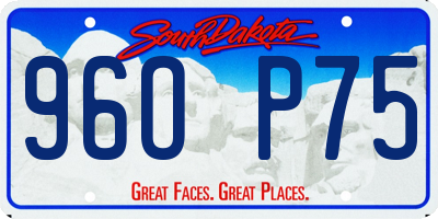 SD license plate 96OP75