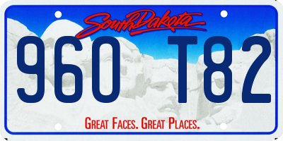 SD license plate 96OT82