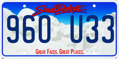 SD license plate 96OU33