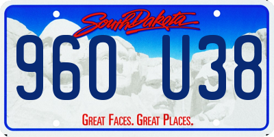 SD license plate 96OU38