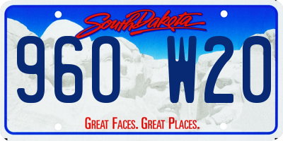 SD license plate 96OW20