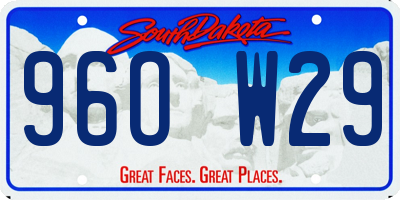 SD license plate 96OW29
