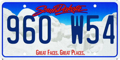 SD license plate 96OW54