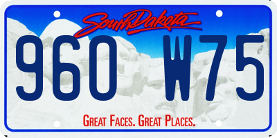 SD license plate 96OW75