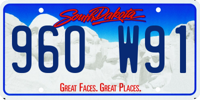 SD license plate 96OW91