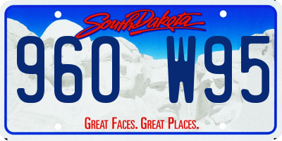 SD license plate 96OW95