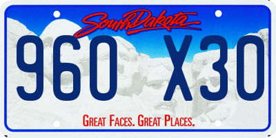 SD license plate 96OX30