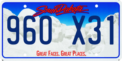 SD license plate 96OX31