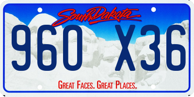 SD license plate 96OX36