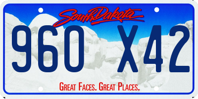 SD license plate 96OX42