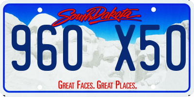 SD license plate 96OX50