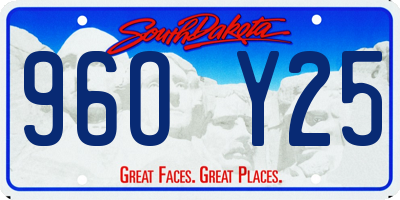 SD license plate 96OY25
