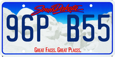 SD license plate 96PB55