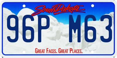 SD license plate 96PM63