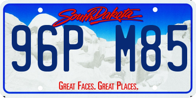 SD license plate 96PM85