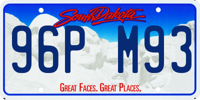 SD license plate 96PM93