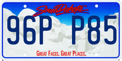 SD license plate 96PP85