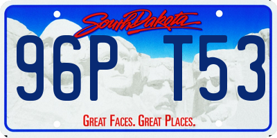 SD license plate 96PT53