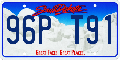 SD license plate 96PT91