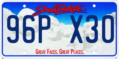 SD license plate 96PX30