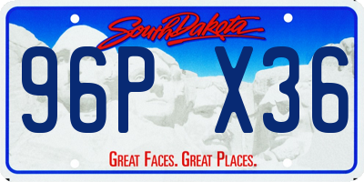SD license plate 96PX36