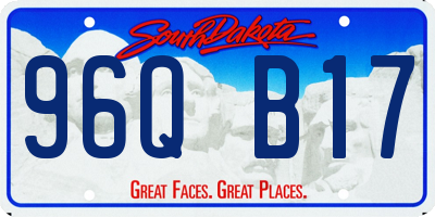 SD license plate 96QB17