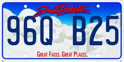 SD license plate 96QB25