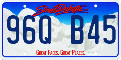 SD license plate 96QB45