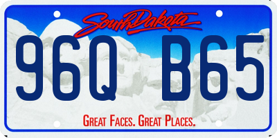 SD license plate 96QB65
